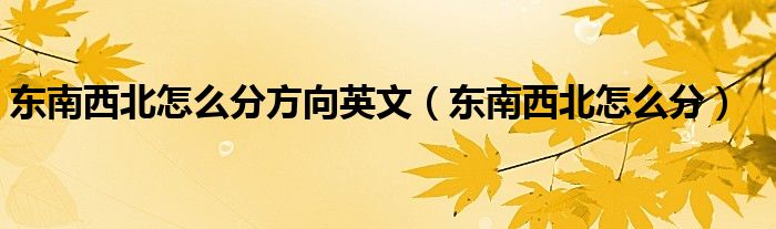 东南西北怎么分方向英文（东南西北怎么分）