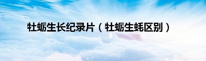 牡蛎生长纪录片（牡蛎生蚝区别）