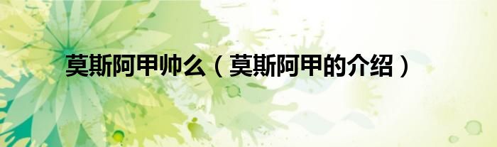 莫斯阿甲帅么（莫斯阿甲的介绍）