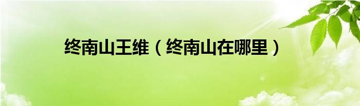 终南山王维（终南山在哪里）