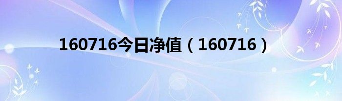 160716今日净值（160716）