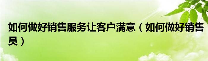 如何做好销售服务让客户满意（如何做好销售员）