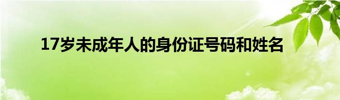 17岁未成年人的身份证号码和姓名