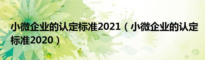 小微企业的认定标准2021（小微企业的认定标准2020）