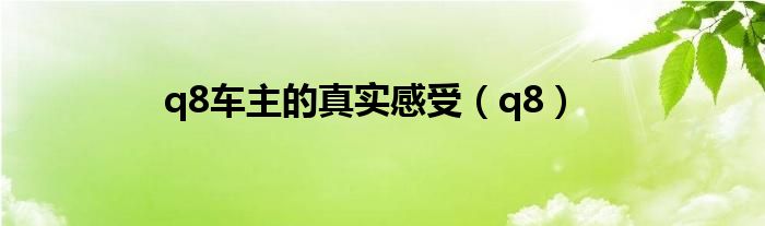 q8车主的真实感受（q8）