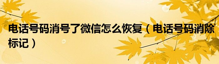 电话号码消号了微信怎么恢复（电话号码消除标记）