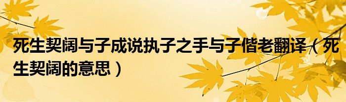 死生契阔与子成说执子之手与子偕老翻译（死生契阔的意思）