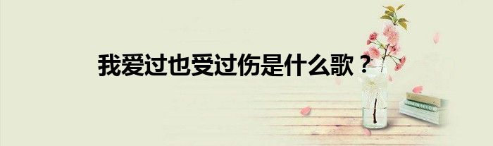我爱过也受过伤是什么歌？