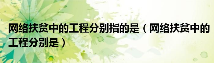 网络扶贫中的工程分别指的是（网络扶贫中的工程分别是）