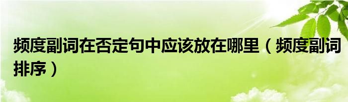 频度副词在否定句中应该放在哪里（频度副词排序）