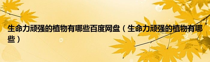 生命力顽强的植物有哪些百度网盘（生命力顽强的植物有哪些）