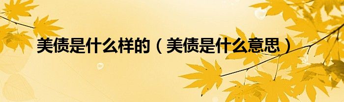 美债是什么样的（美债是什么意思）