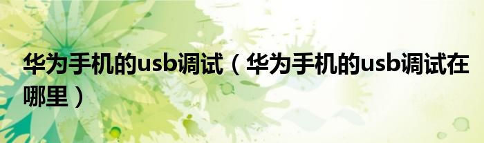 华为手机的usb调试（华为手机的usb调试在哪里）