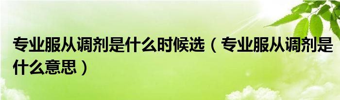 专业服从调剂是什么时候选（专业服从调剂是什么意思）