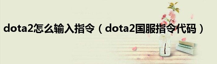 dota2怎么输入指令（dota2国服指令代码）