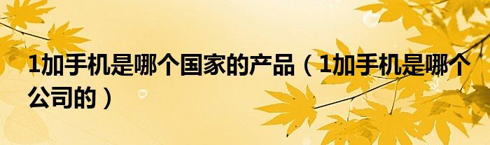1加手机是哪个国家的产品（1加手机是哪个公司的）