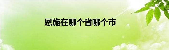 恩施在哪个省哪个市