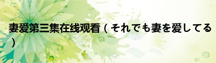 妻爱第三集在线观看（それでも妻を爱してる）