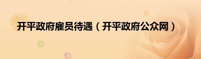 开平政府雇员待遇（开平政府公众网）