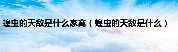 蝗虫的天敌是什么家禽（蝗虫的天敌是什么）