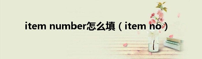 item number怎么填（item no）