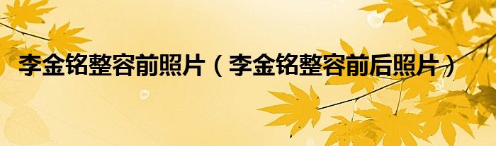 李金铭整容前照片（李金铭整容前后照片）