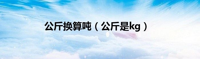公斤换算吨（公斤是kg）