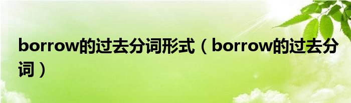 borrow的过去分词形式（borrow的过去分词）