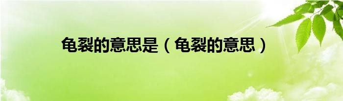 龟裂的意思是（龟裂的意思）
