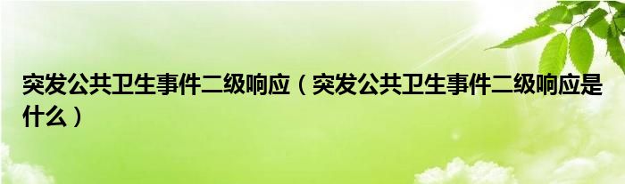 突发公共卫生事件二级响应（突发公共卫生事件二级响应是什么）
