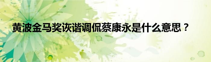 黄波金马奖诙谐调侃蔡康永是什么意思？