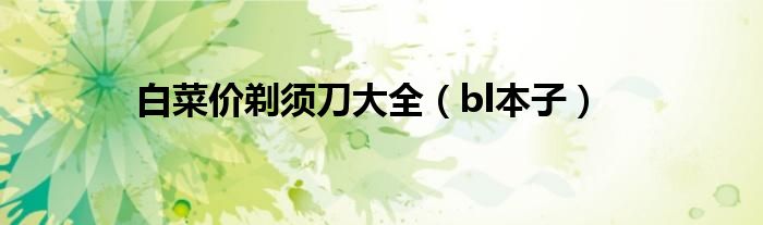 白菜价剃须刀大全（bl本子）