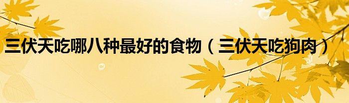 三伏天吃哪八种最好的食物（三伏天吃狗肉）