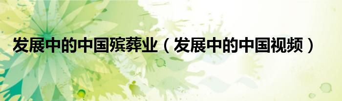 发展中的中国殡葬业（发展中的中国视频）
