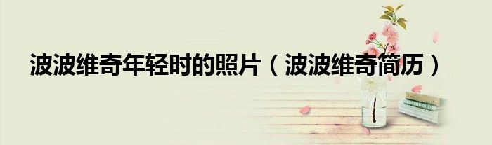 波波维奇年轻时的照片（波波维奇简历）