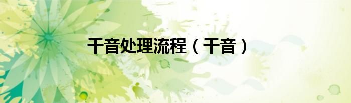 干音处理流程（干音）