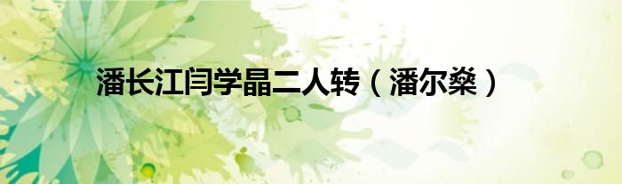 潘长江闫学晶二人转（潘尔燊）