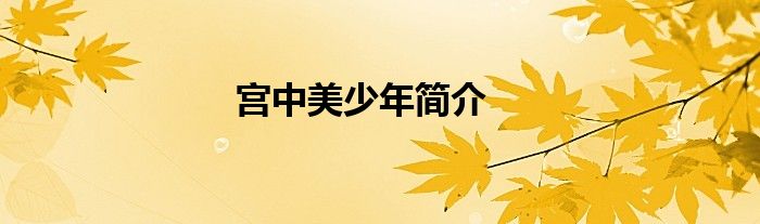 宫中美少年简介
