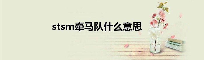 stsm牵马队什么意思
