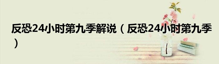 反恐24小时第九季解说（反恐24小时第九季）