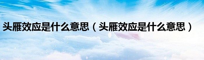 头雁效应是什么意思（头雁效应是什么意思）