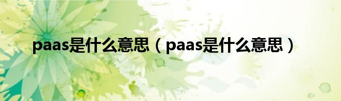paas是什么意思（paas是什么意思）