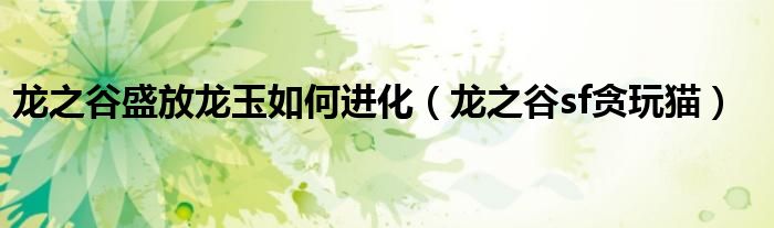 龙之谷盛放龙玉如何进化（龙之谷sf贪玩猫）