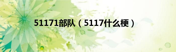 51171部队（5117什么梗）