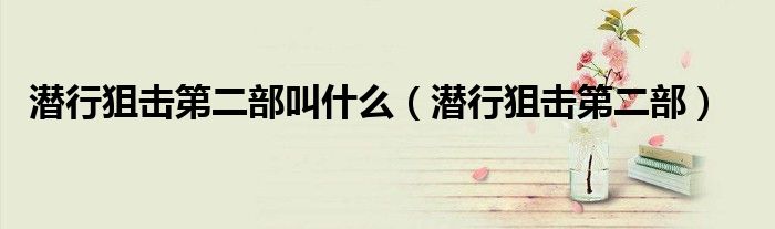 潜行狙击第二部叫什么（潜行狙击第二部）