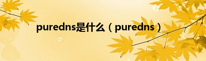 puredns是什么（puredns）