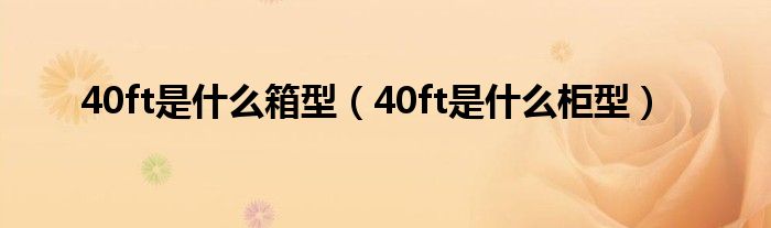40ft是什么箱型（40ft是什么柜型）