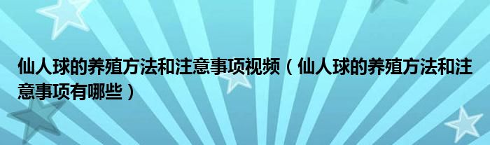 仙人球的养殖方法和注意事项视频（仙人球的养殖方法和注意事项有哪些）