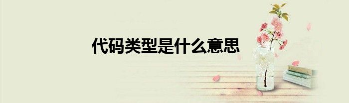 代码类型是什么意思