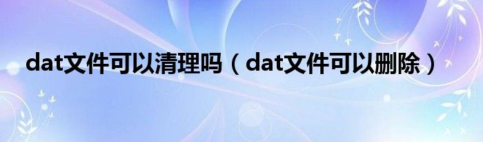 dat文件可以清理吗（dat文件可以删除）